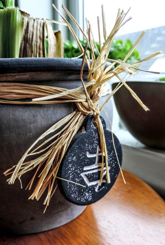 Plant care flowerpot
