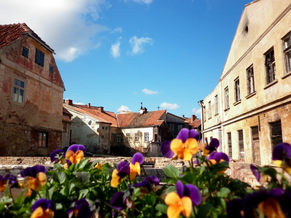 Abandoned ruins flowers