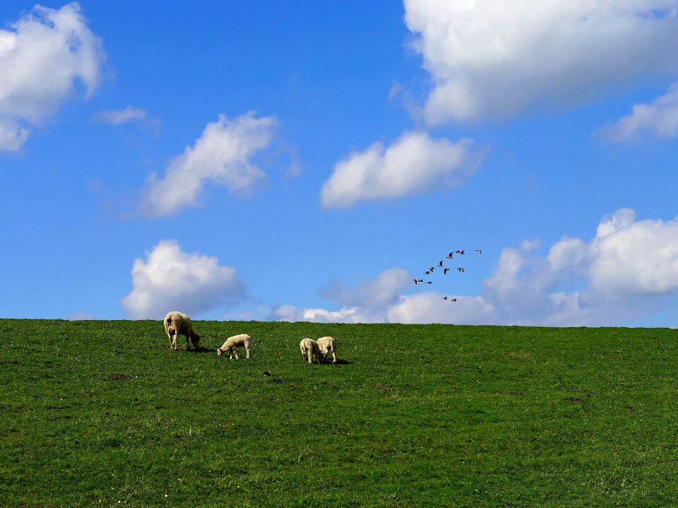North sea sky landscape