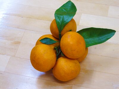 Orange fruit suites