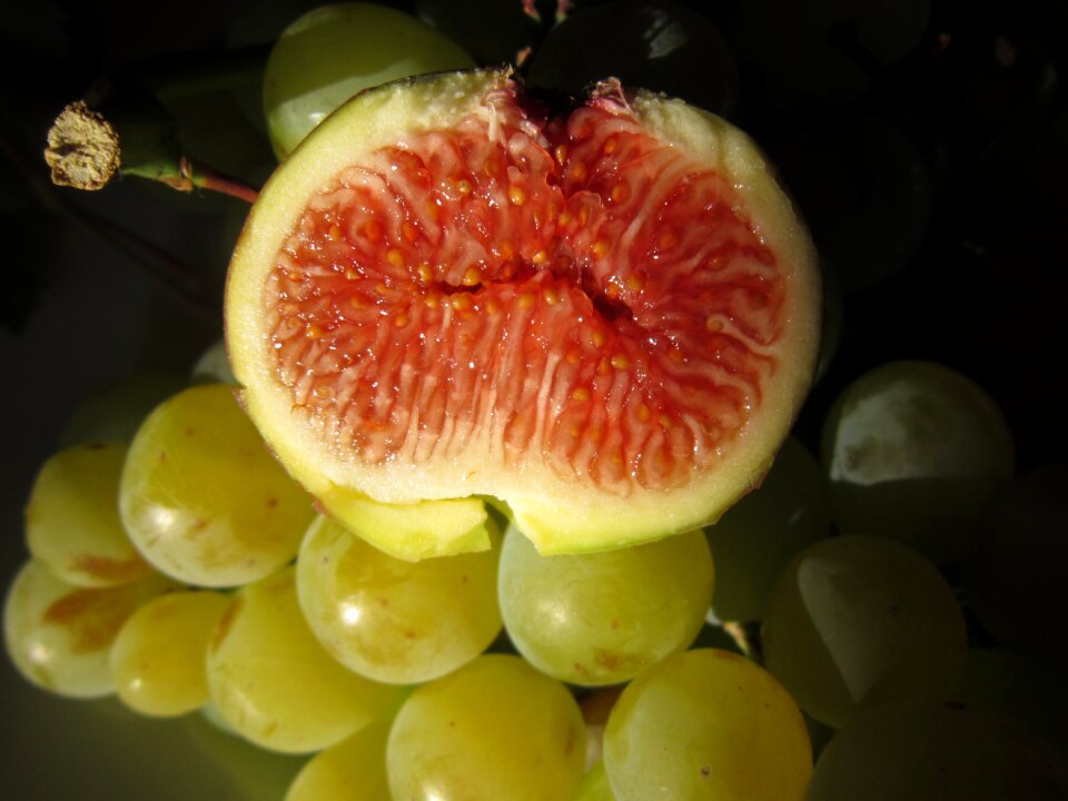 Sweet close up still life