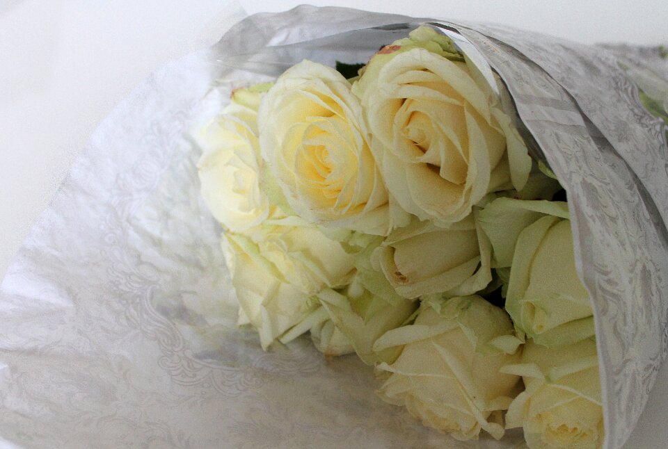 Flowers bouquet white flowers