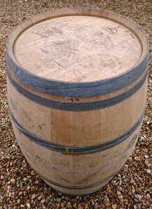 White oak wine barrels photo