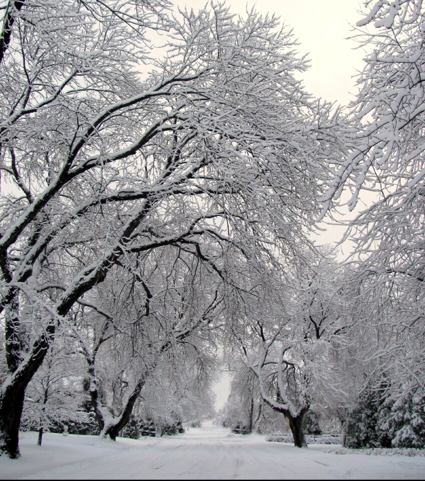 Weather blizzard road