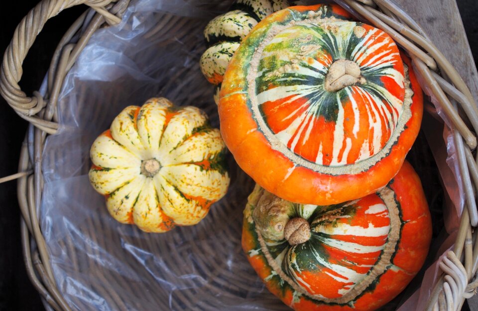 Food harvest organic