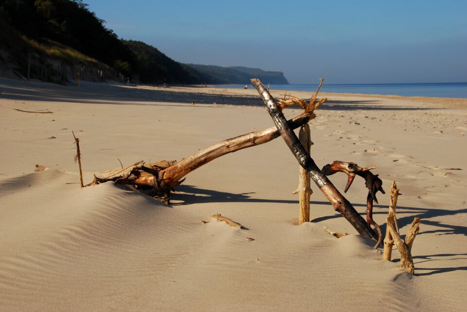 Wood sea sand beach