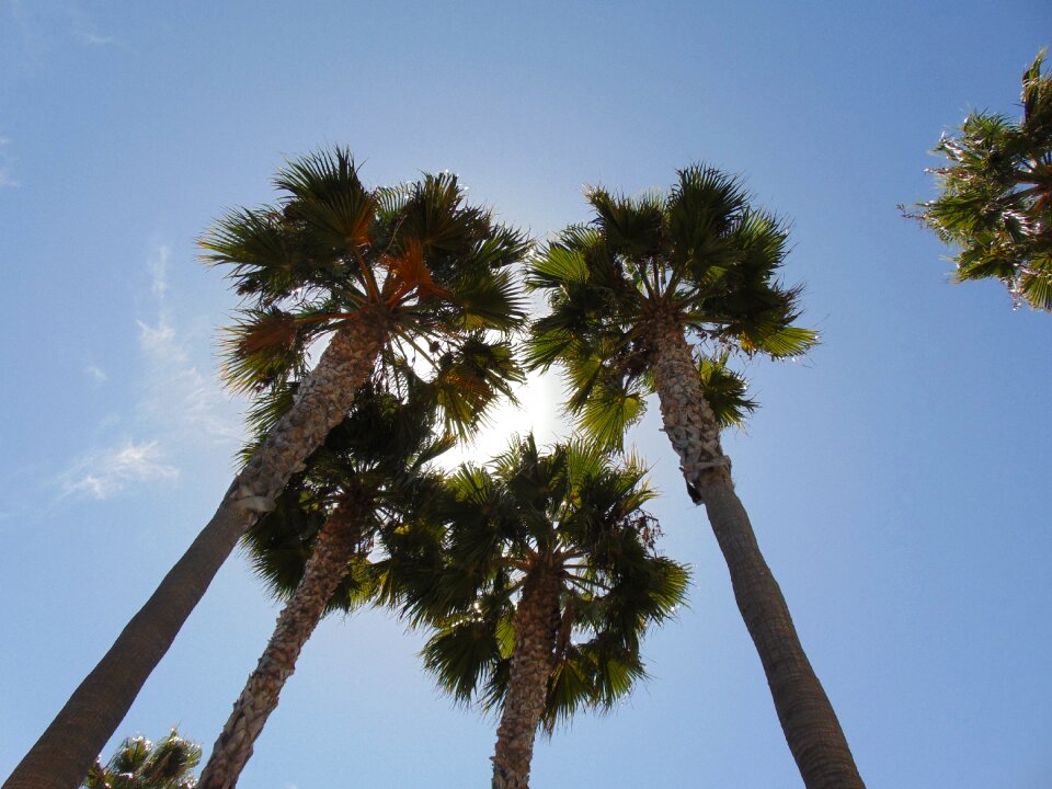 Sky summer tropical