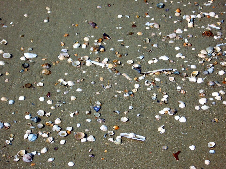 North sea sea close up