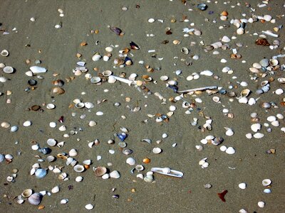 North sea sea close up