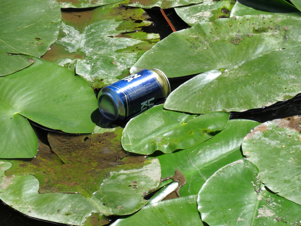 Water pollution human impact