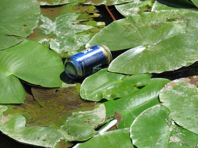 Water pollution human impact
