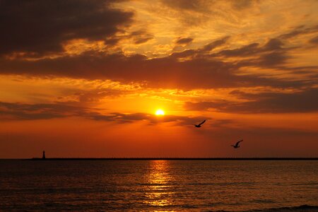 Sea water beach photo