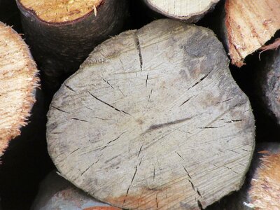Cut lumber wooden