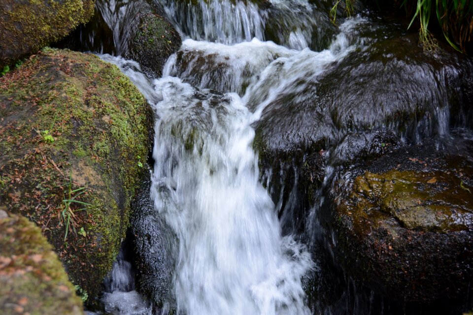 Nature river landscape