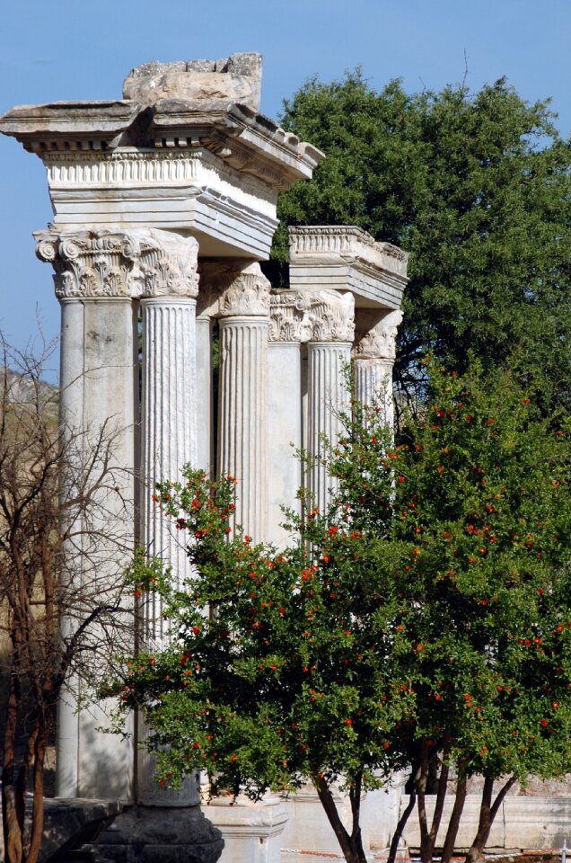 Greek city asia minor temple