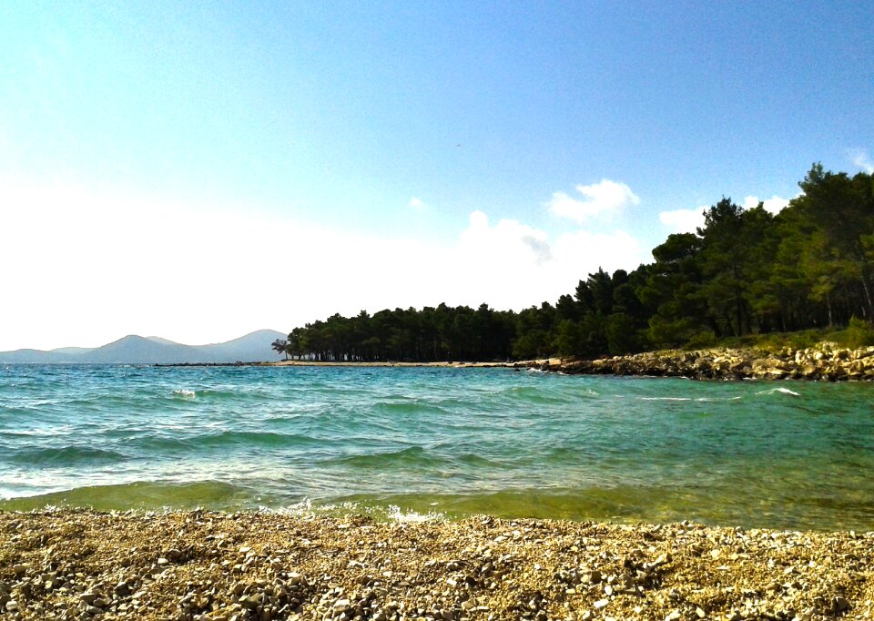 Water beach sea nature