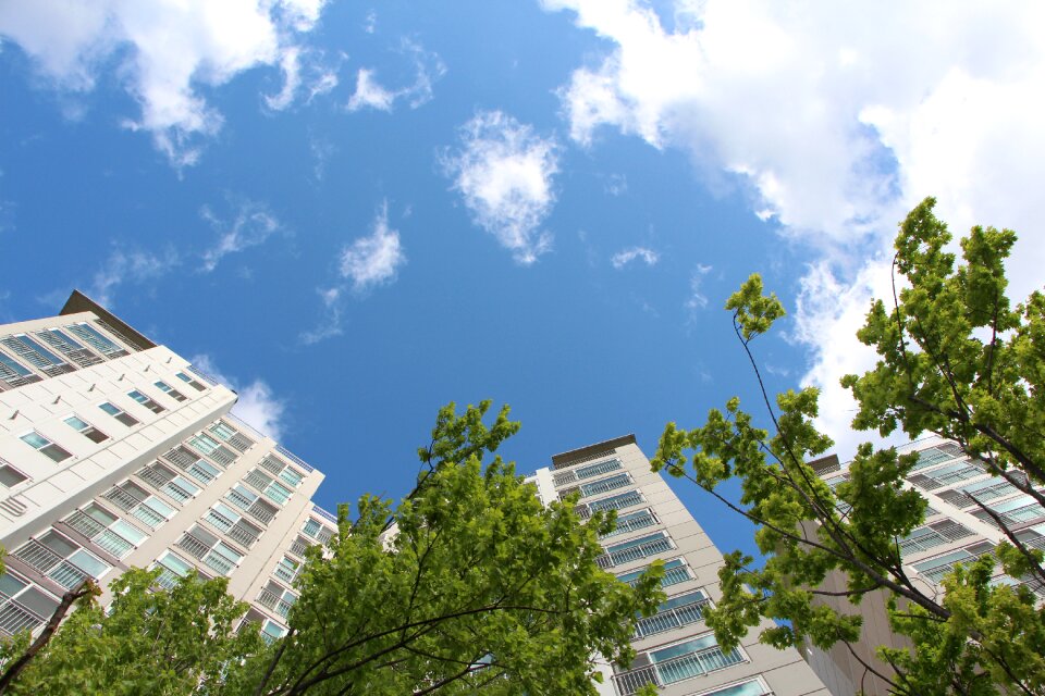 City nature cloud
