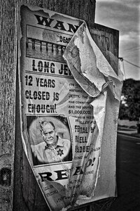 Display promotion publicity
