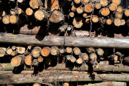 Aesthetic background rustic
