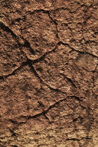 Texture land cracked