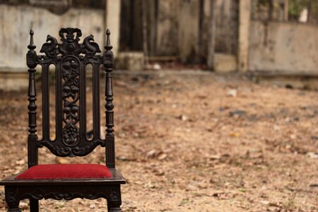 Classic furniture spacious