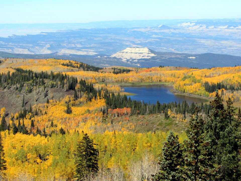 Lake nature trees