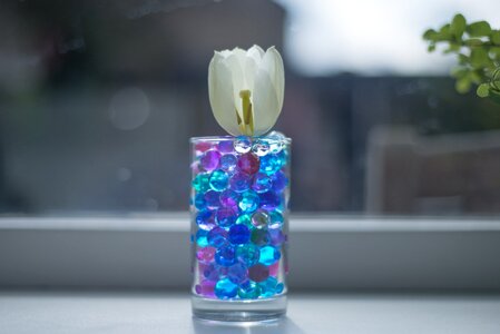 White green flower