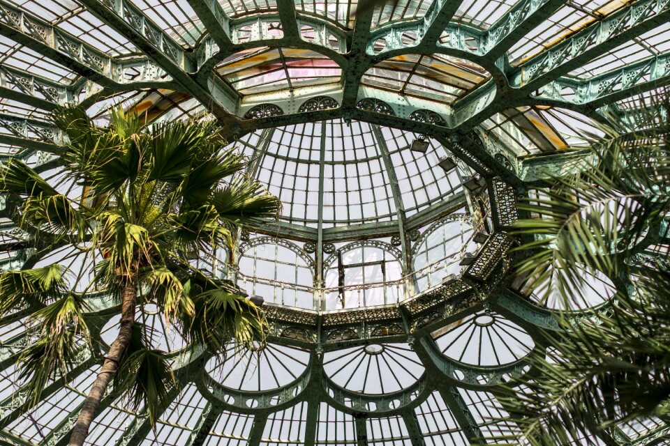 Architecture greenhouse palm