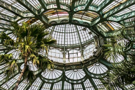 Architecture greenhouse palm photo