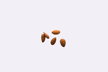 Grain top view five nuts