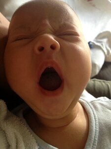 Infant newborn yawn photo