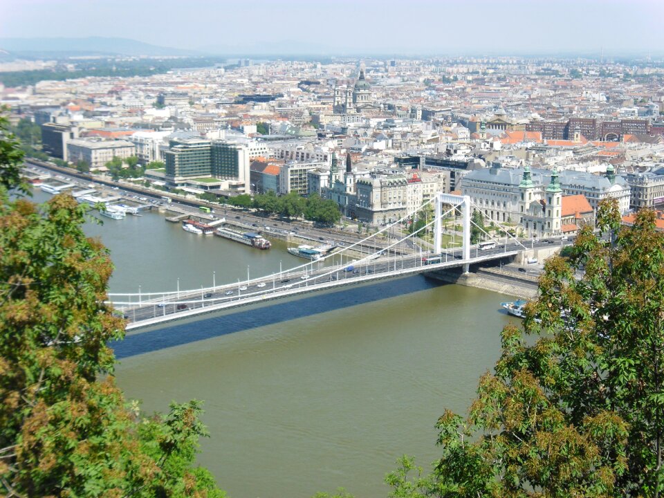 Capital bridge danube