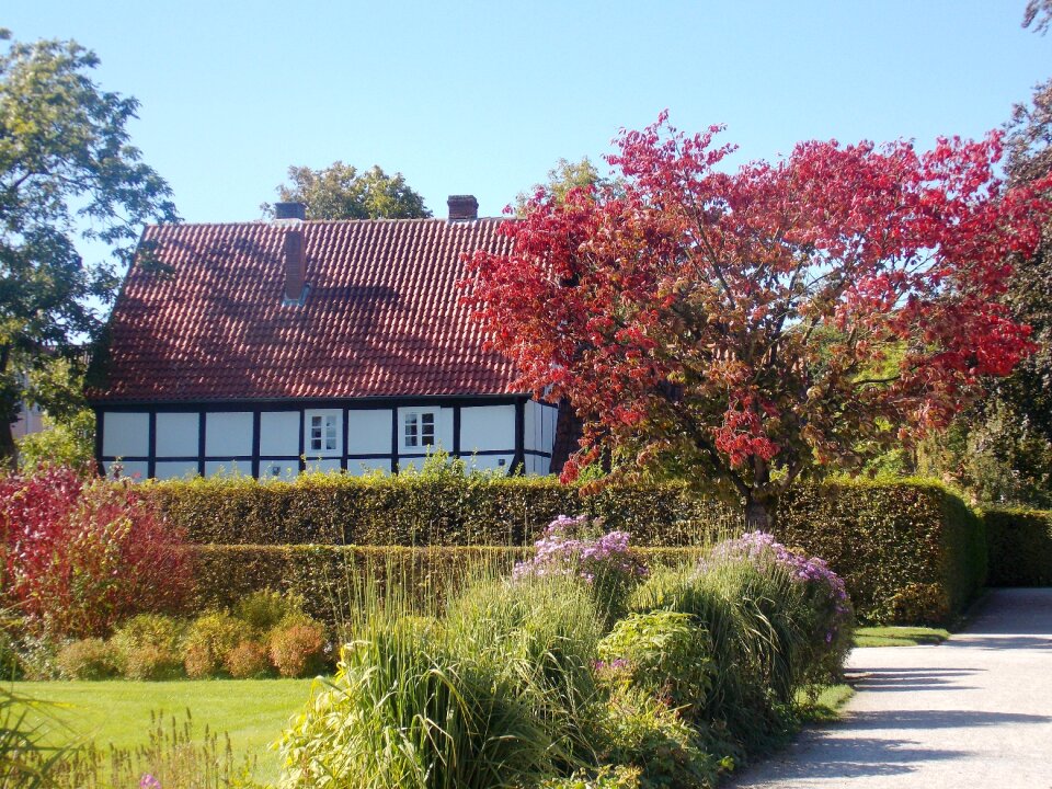 Garden gütersloh plant