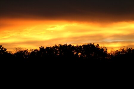 Sky orasnge sunset forest trees photo