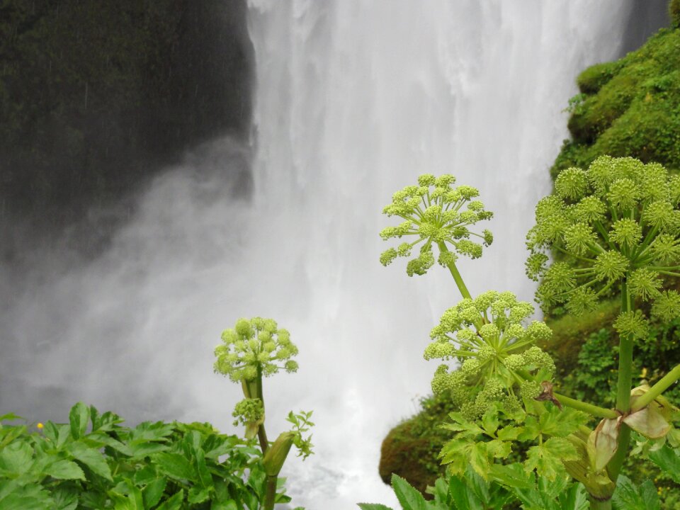 Angelica waterfall iceland