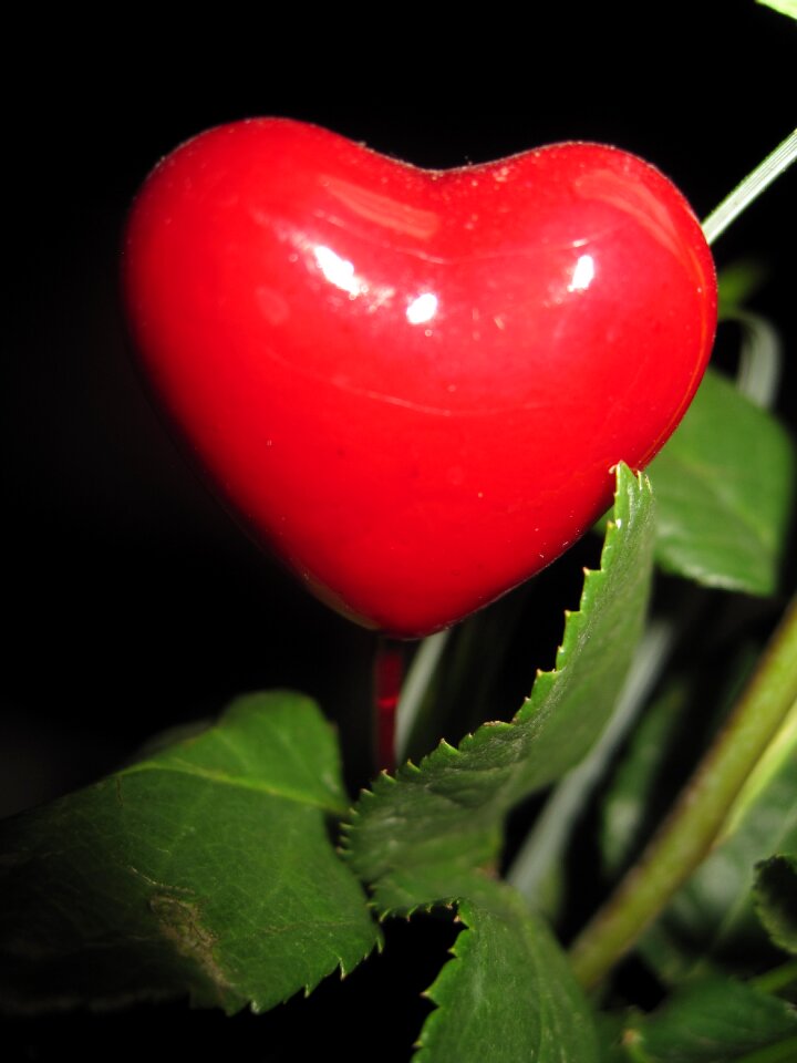 Red i love you valentine's day
