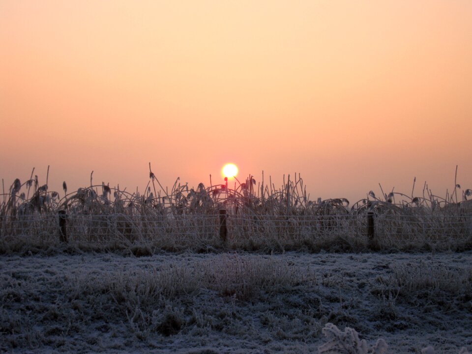 Cold frost sunset landscape