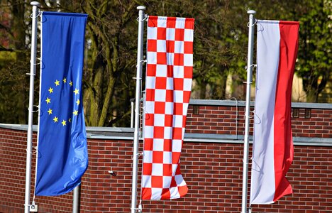 European poland the mast