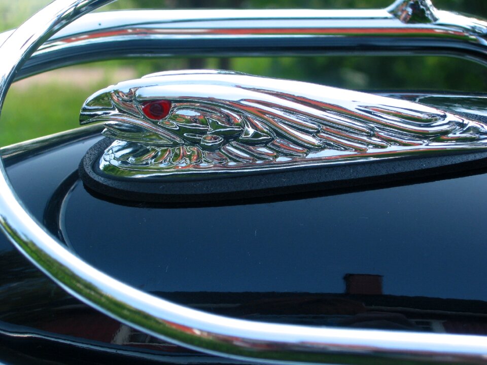 Eagle eagle head chrome