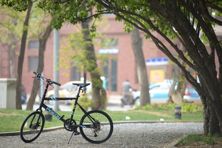 Bicycle blue mountain vintage cars