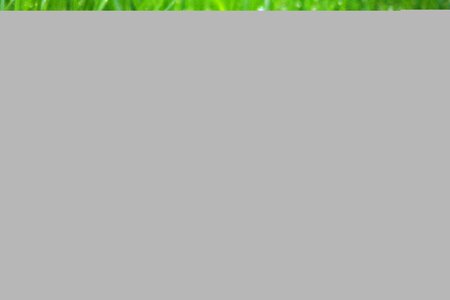 Animal grass black