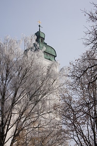 Sunny hoarfrost winter