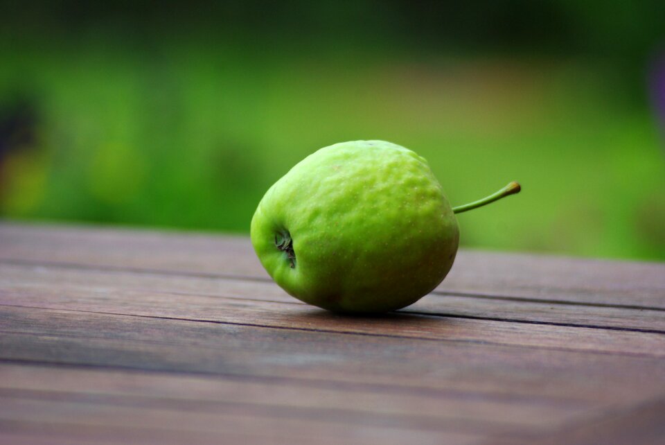 Autumn delicious fresh
