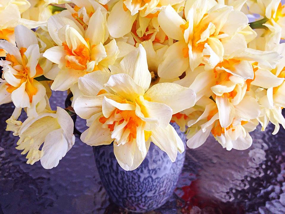Nature fresh bloom