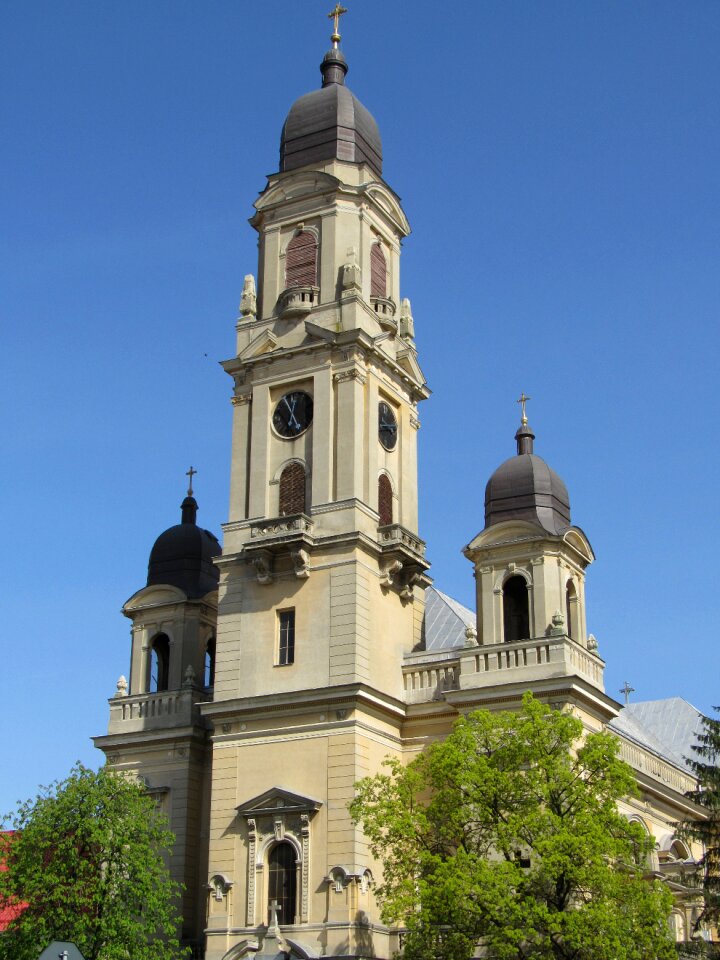 Transylvania crisana center