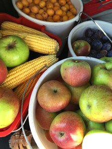 Harvest organic eco