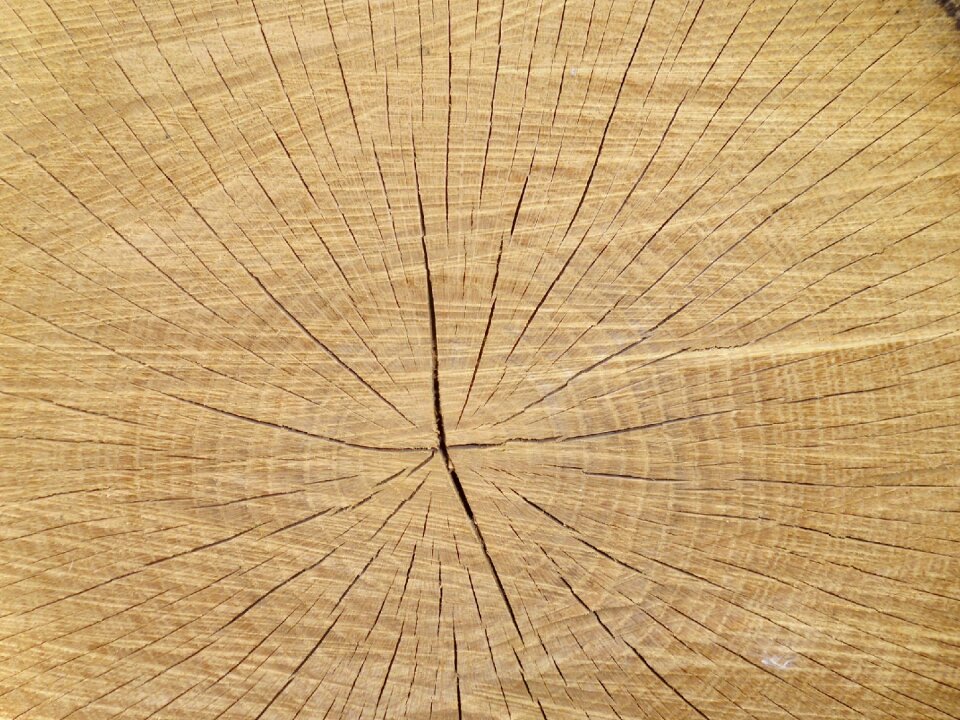Slice texture balance beam