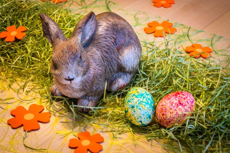 Hare easter spring