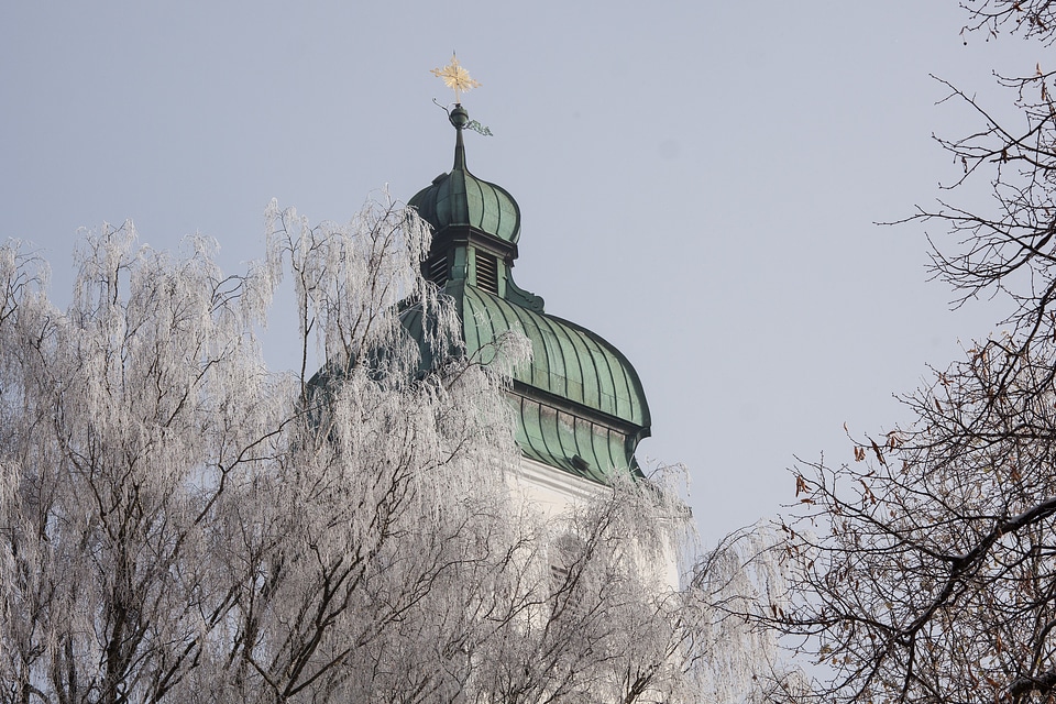Sunny hoarfrost winter