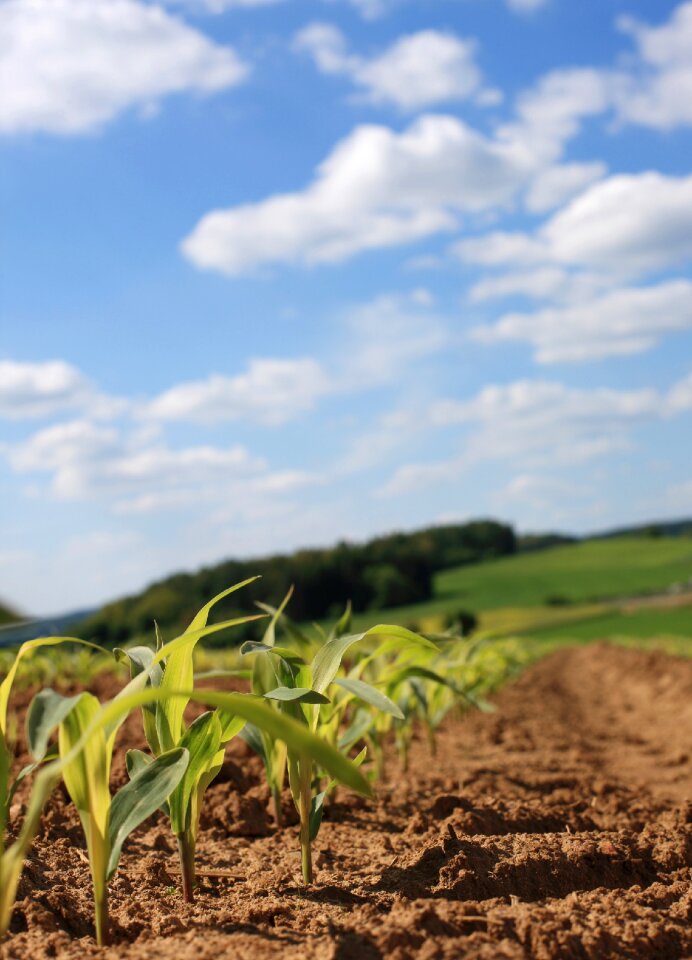 Field agriculture arable